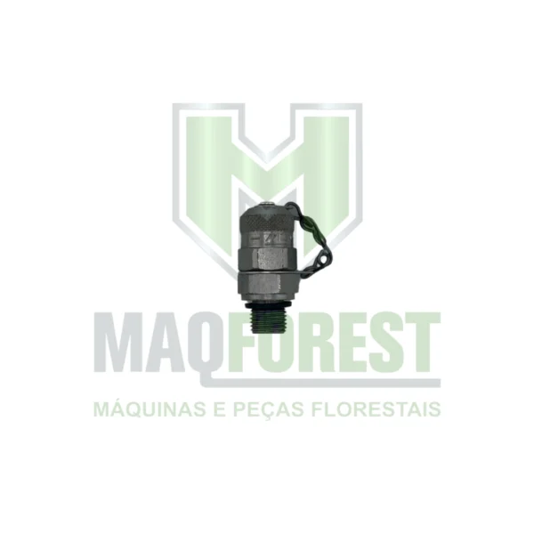 CONEXÃO WARATAH